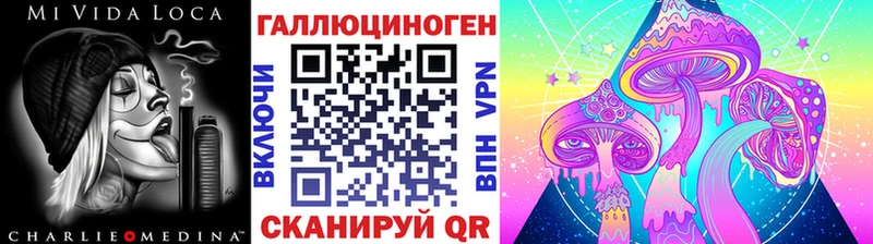 Купить  Сланцы  Псилоцибиновые грибы Psilocybine cubensis 